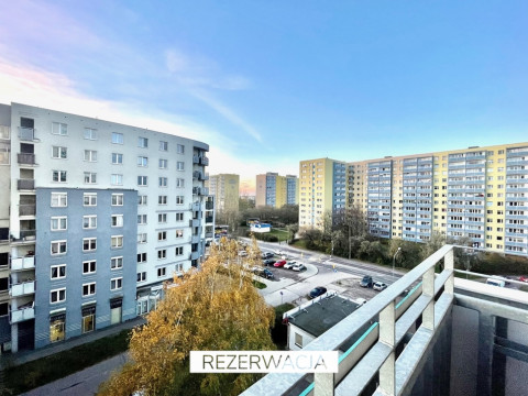 UAM Morasko | balkon | zwierzęta mile widziane